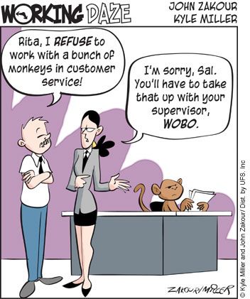 workingdaze